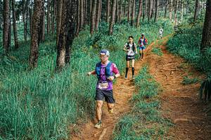 BIB: 
                            <button type="button" onclick="openModal(25666825)" class="btn btn-primary btn-sm float-right btn-popup" data-toggle="modal" data-target=".modal-high-quality">
                        <i class="fas fa-shopping-cart"></i> Add to Cart
                    </button>
                                            <button type="button" onclick="isThisMe(25666825, true)" class="btn btn-success btn-sm float-right btn-popup btn-isme hidden" data-toggle="tooltip" data-placement="bottom" title="นี่คือรูปของคุณใช่ไหม คลิกที่นี่เพื่อเอาเข้าอัลบั้ม">
                        <i class="fas fa-plus"></i> Add to album
                    </button>
                    <button type="button" onclick="isThisMe(25666825, false)" class="btn btn-warning btn-sm float-right btn-popup btn-isnotme hidden">
                        <i class="fas fa-ban"></i> Remove from album
                    </button>